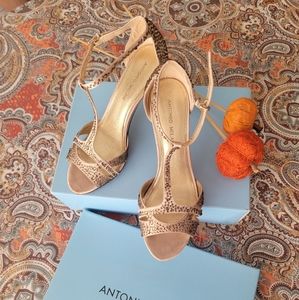 Antonio Melanie, size 9, Champagne